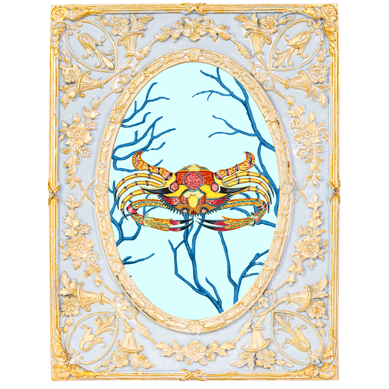 Картина в раме с золотым орнаментом Seashell Still Life 2 Мульти Золотой Голубой Картина в раме с золотым орнаментом Seashell Still Life 2 Мульти Золотой Голубой в Саратове | Loft Concept