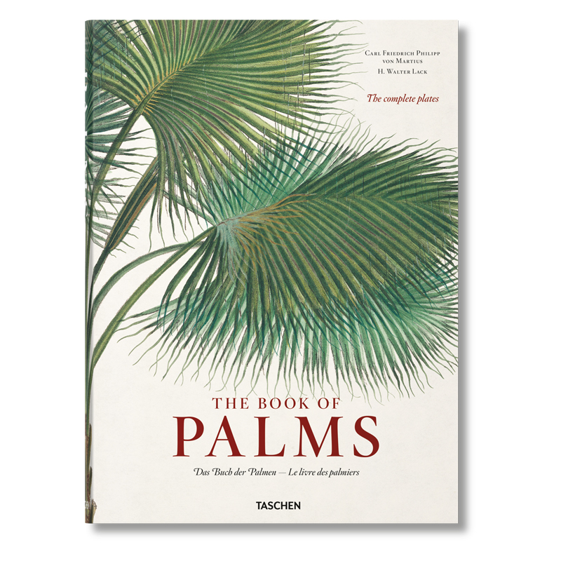 Книга The Book of Palms  в Саратове | Loft Concept 