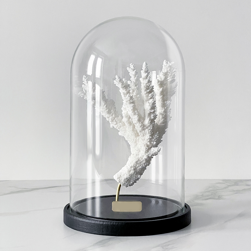 Статуэтка Natural Coral Branch Glass Cloche  в Саратове | Loft Concept 