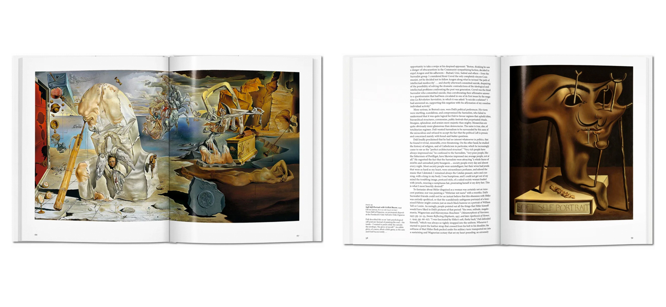 Книга Dali 27 x 21 cm - фото