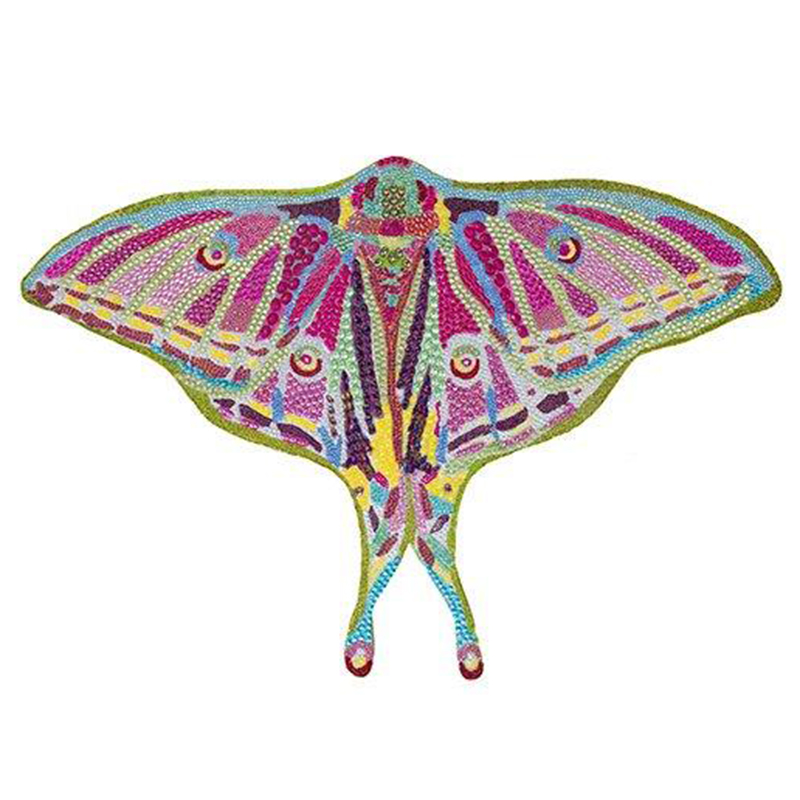 Картина “Spanish Moon Moth Butterfly Cut Out” Мульти в Саратове | Loft Concept 