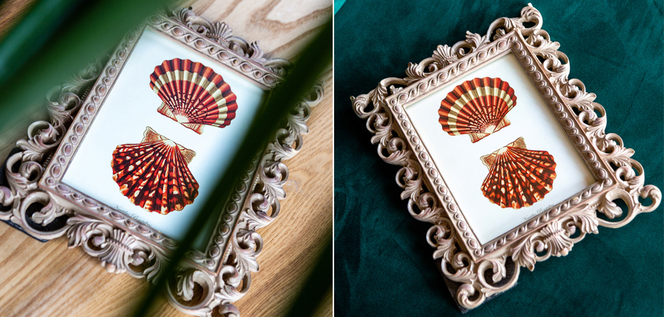 Постер Red Scallop Poster - Loft-Concept в Саратове