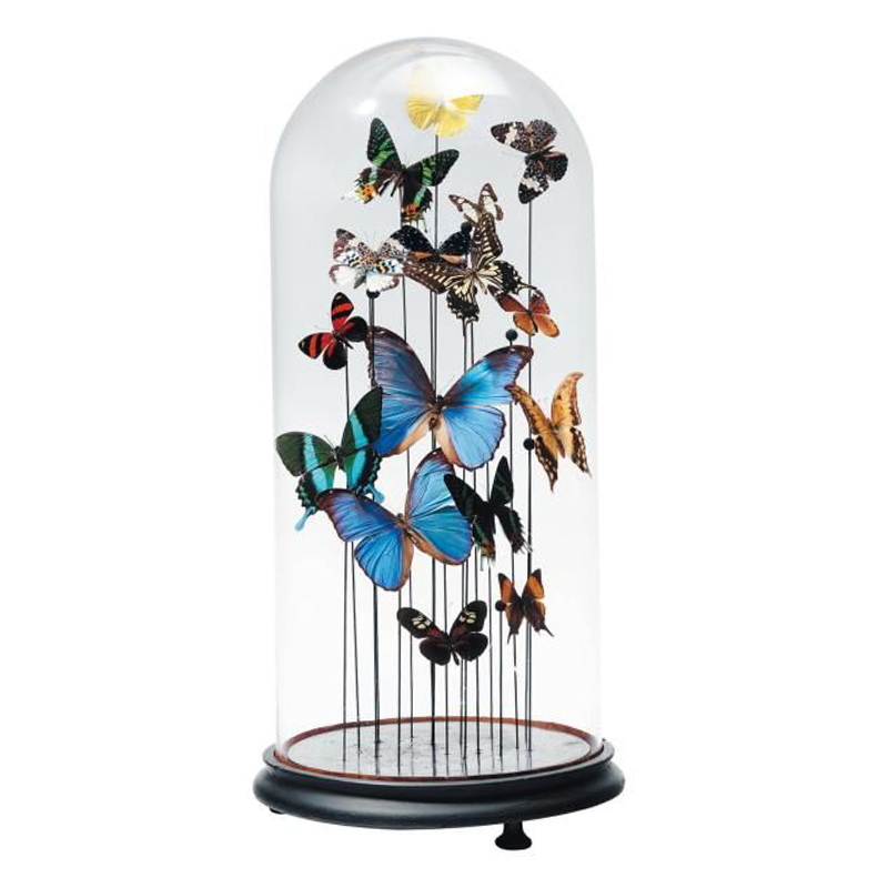 Статуэтка 15 Butterflies Glass Cloche  в Саратове | Loft Concept 