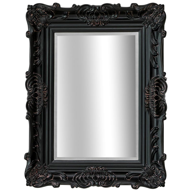 Зеркало Aryan Provence Mirror Black Черный Коричневый в Саратове | Loft Concept 