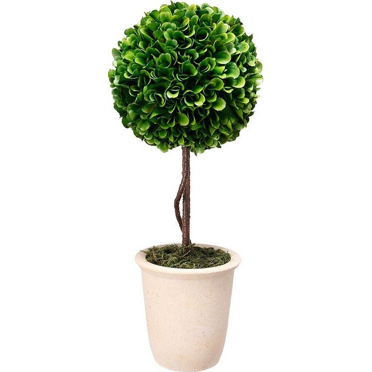 Декоративный искусственное растение Single boxwood Зеленый Бежевый Коричневый в Саратове | Loft Concept 