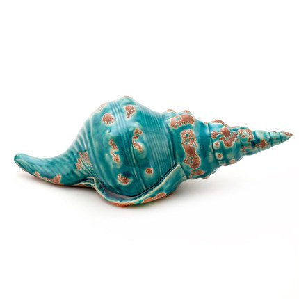 Ракушка Shell Turquoise #1 Бирюзовый Ракушка Shell Turquoise #1 Бирюзовый в Саратове | Loft Concept