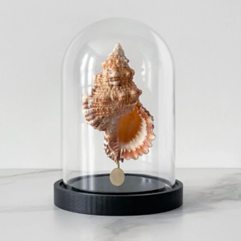 Статуэтка Bursa Rubeta Glass Cloche Статуэтка Bursa Rubeta Glass Cloche в Саратове | Loft Concept