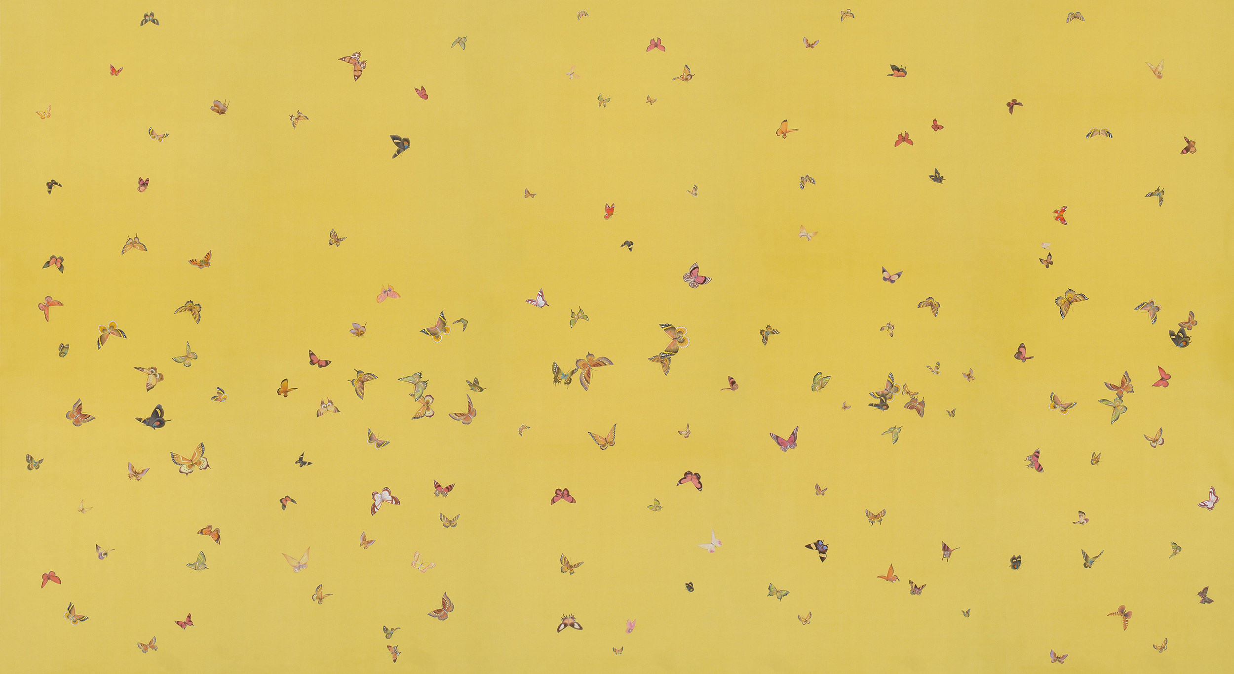 Обои ручная роспись Butterflies Monarch on dyed paper Обои ручная роспись Butterflies Monarch on dyed paper - постер Loft-Concept в Саратове