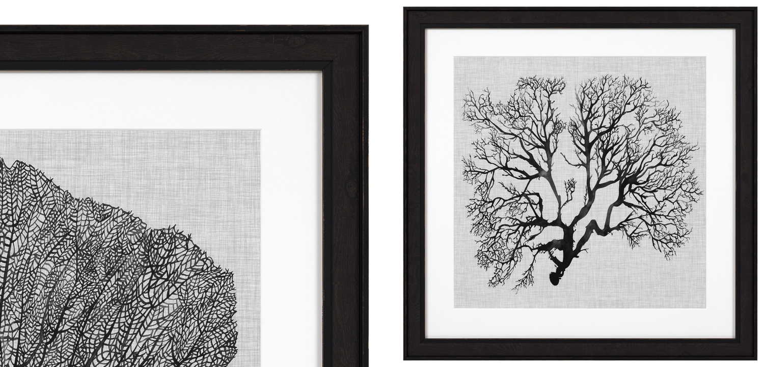 Комплект постеров Eichholtz Prints Shadow Sea Fans set of 4 - фото