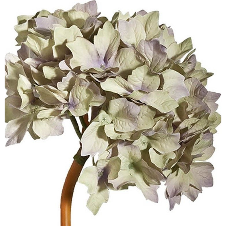 Декоративный искусственное растение Beige hydrangea Черный Бежевый Коричневый в Саратове | Loft Concept 