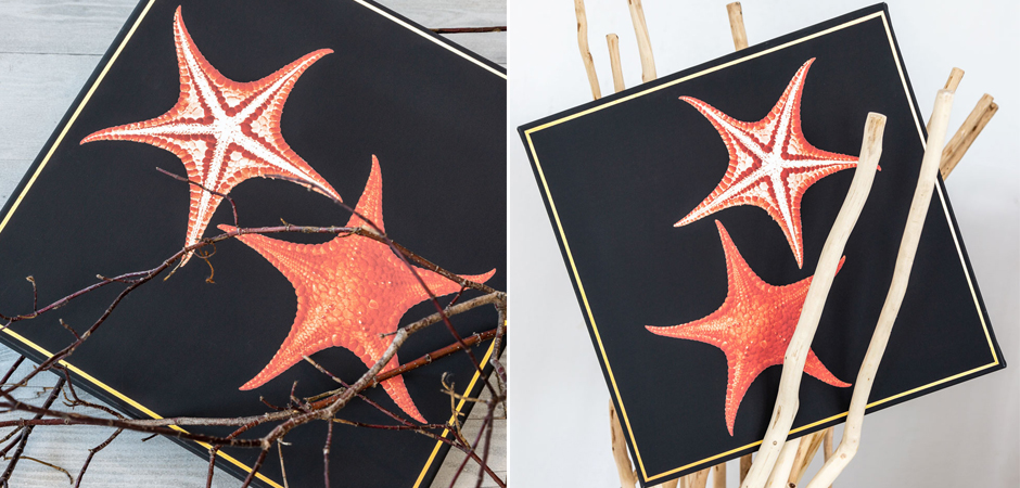 Постер Sea Stars Poster Постер Sea Stars Poster - Loft-Concept в Саратове
