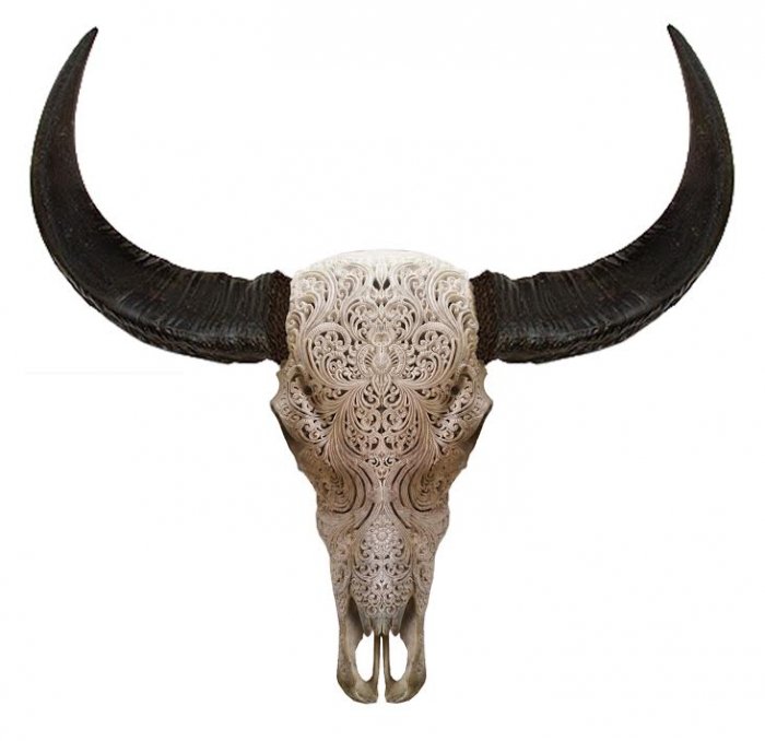 Череп буйвола с резьбой Buffalo Skull Tribal Carving Белый в Саратове | Loft Concept 