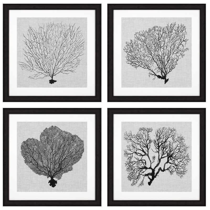 Комплект постеров Eichholtz Prints Shadow Sea Fans set of 4 Черный Черно-белый в Саратове | Loft Concept 