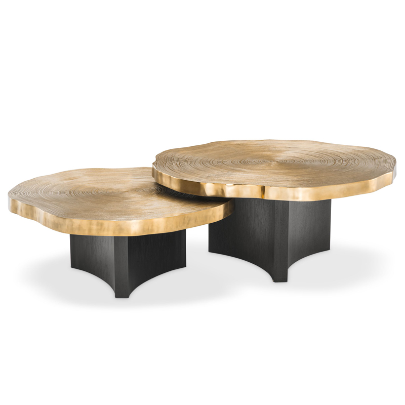 Комплект кофейных столов Eichholtz Coffee Table Thousand Oaks set of 2 Черный Латунь в Саратове | Loft Concept 