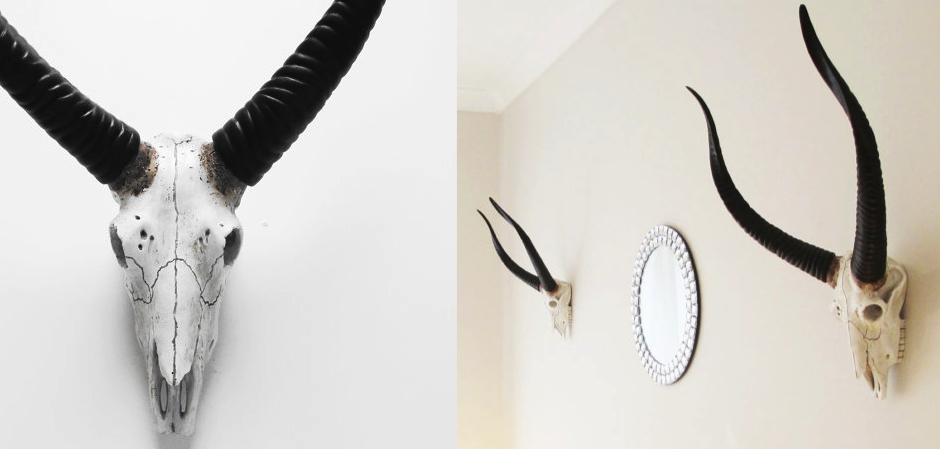 Череп антилопы с черными рогами - Loft-Concept в Саратове