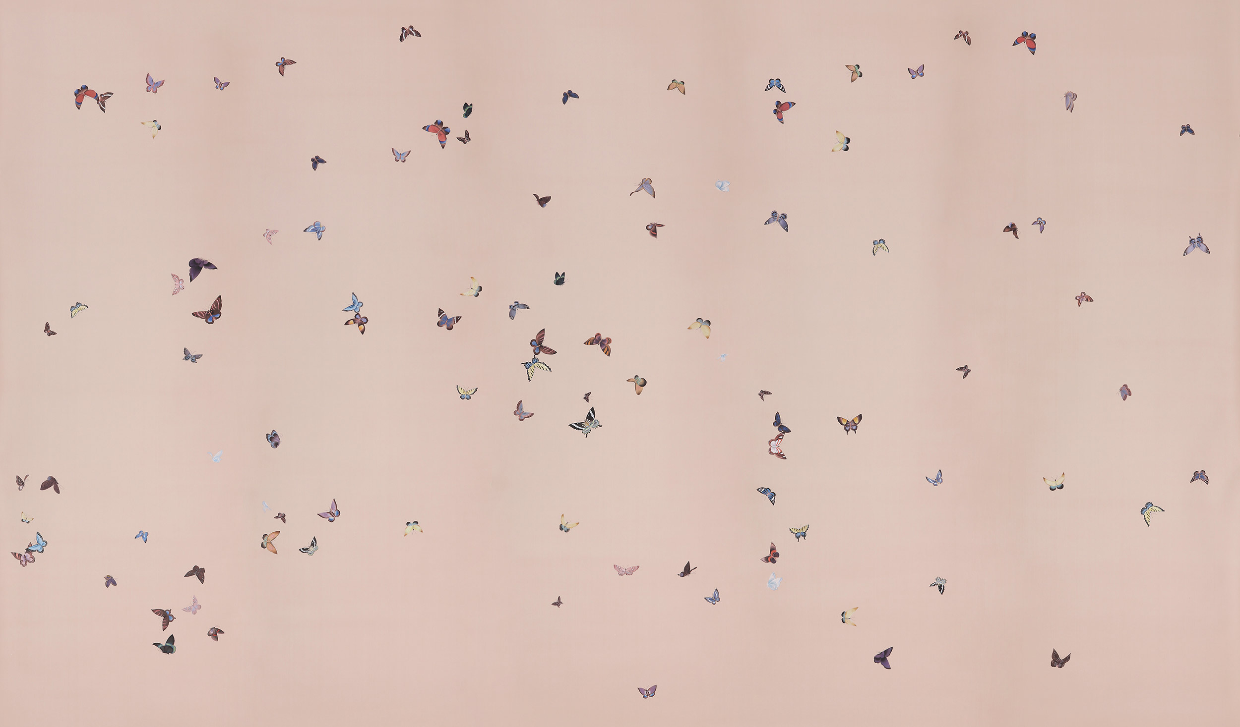 Обои ручная роспись Butterflies Icarus on Gentleman's Pink dyed silk Обои ручная роспись Butterflies Icarus on Gentleman's Pink dyed silk - постер Loft-Concept в Саратове