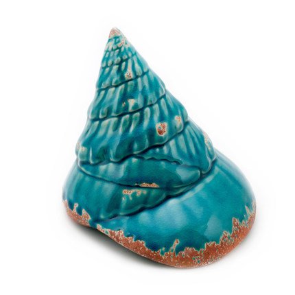 Ракушка Shell Turquoise #2 Бирюзовый Ракушка Shell Turquoise #2 Бирюзовый в Саратове | Loft Concept