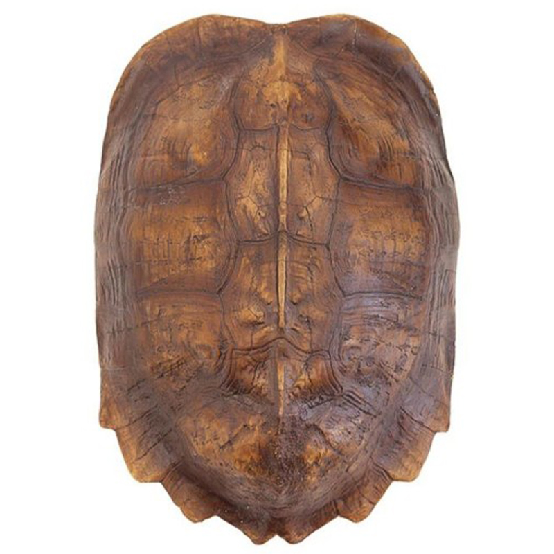 Аксессуар Turtle Shell Natural Light Brown Коричневый в Саратове | Loft Concept 