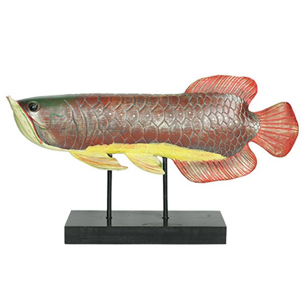 Аксессуар для интерьера рыба Colored Fish Аксессуар для интерьера рыба Colored Fish в Саратове | Loft Concept