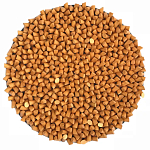 Панно «Gold Star» варинант исполнения - 1 | Loft Concept в Саратове