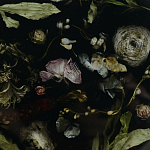 Круглый поднос из эпоксидной смолы с цветами черный Epoxy Resin Flowers Tray Black варинант исполнения - 3 | Loft Concept в Саратове