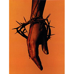 Подарочная книга величайший фотограф Альберт Уотсон The Vienna album Albert Watson варинант исполнения - 4 | Loft Concept в Саратове