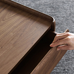 Прикроватный деревянный столик с 2-мя ящиками Moon Walnut Furniture варинант исполнения - 9 | Loft Concept в Саратове