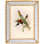 Постер с изображением птиц и цветов в зеркальной раме Blooming Birds Poster варинант исполнения - 4 | Loft Concept в Саратове