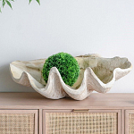 Блюдо декоративное в виде ракушки Seashell варинант исполнения - 3 | Loft Concept в Саратове