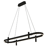 Люстра подвесная овальная черная  Black Light Fixtures варинант исполнения - 1 | Loft Concept в Саратове