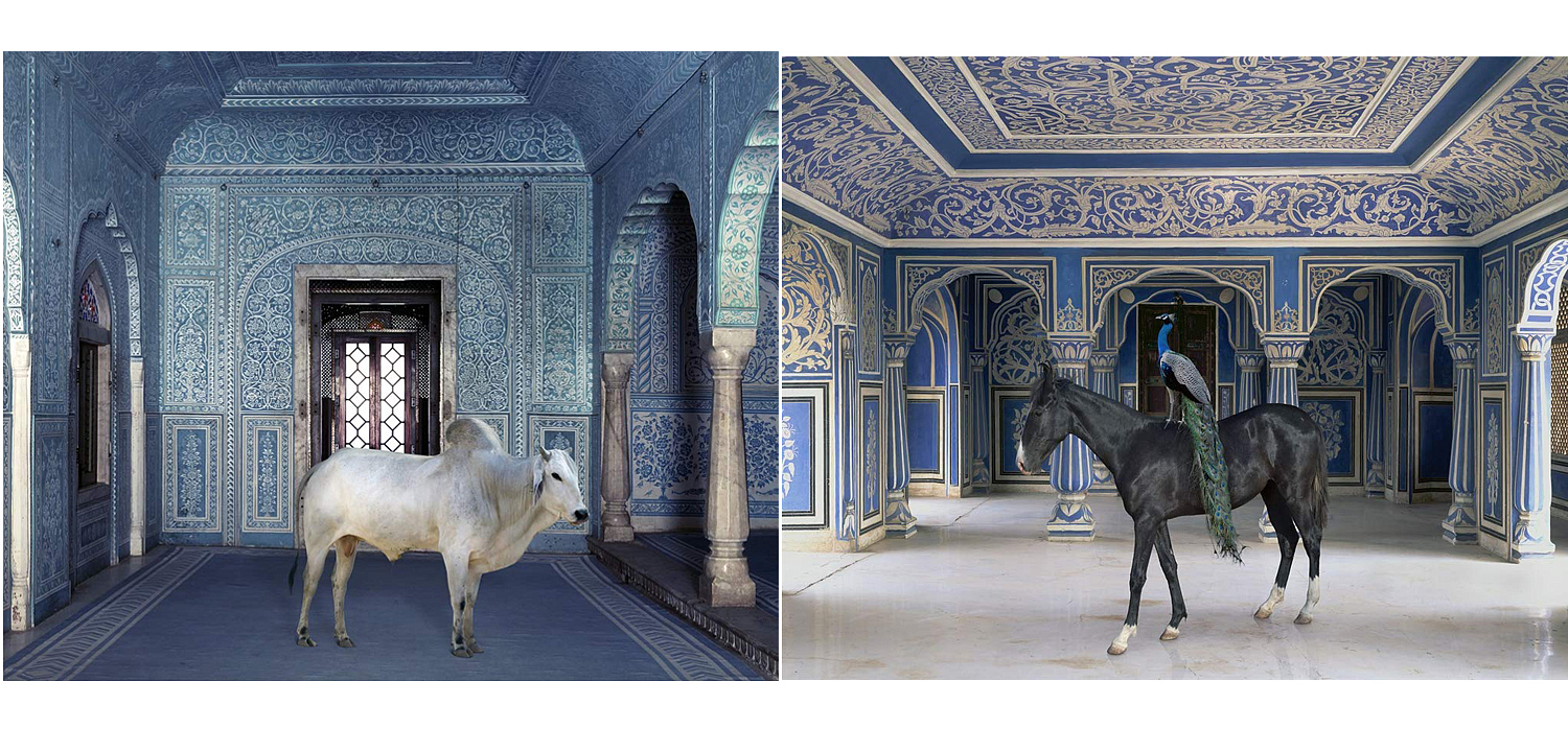 Книга KAREN KNORR INDIA SONG Книга KAREN KNORR INDIA SONG - Loft-Concept в Саратове