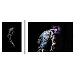 Монография художника Tavares Strachan - There is Light Somewhere варинант исполнения - 6 | Loft Concept в Саратове