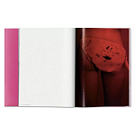 Книга Gisele Bundchen варинант исполнения - 7 | Loft Concept в Саратове