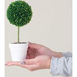 Декоративный искусственное растение Boxwood One варинант исполнения - 6 | Loft Concept в Саратове