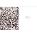 Книга Maison Lesage: Haute Couture Embroidery Mauries Patrick варинант исполнения - 11 | Loft Concept в Саратове