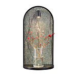 Настенный светильник зеленого цвета с черной рамкой овальной формы с полкой Herbarium  варинант исполнения - 6 | Loft Concept в Саратове