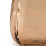 Ваза в виде бутыли TRANSPARENT FORMS 36 варинант исполнения - 5 | Loft Concept в Саратове