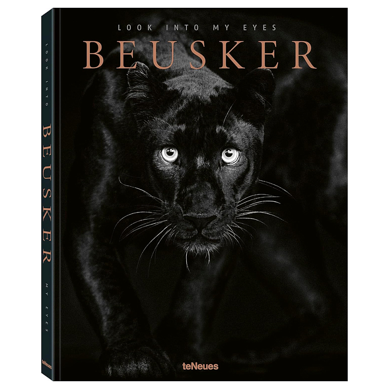 Книга Beusker. Look into my Eyes Книга Beusker. Look into my Eyes в Саратове | Loft Concept