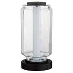 Настольная лампа с прозрачным плафоном Jarrty варинант исполнения - 1 | Loft Concept в Саратове