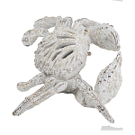 Статуэтка краб с детализированной текстурой в белом цвете Marine Accessories варинант исполнения - 4 | Loft Concept в Саратове