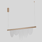 Люстра подвесная с пятью прозрачными элементами в форме лепестков и золотистым металлическим основанием DALI Tonin Casa варинант исполнения - 2 | Loft Concept в Саратове