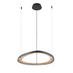 Люстра светодиодная  Iris варинант исполнения - 2 | Loft Concept в Саратове