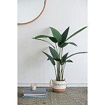 Декоративный искусственное растение Decor Stile  варинант исполнения - 7 | Loft Concept в Саратове