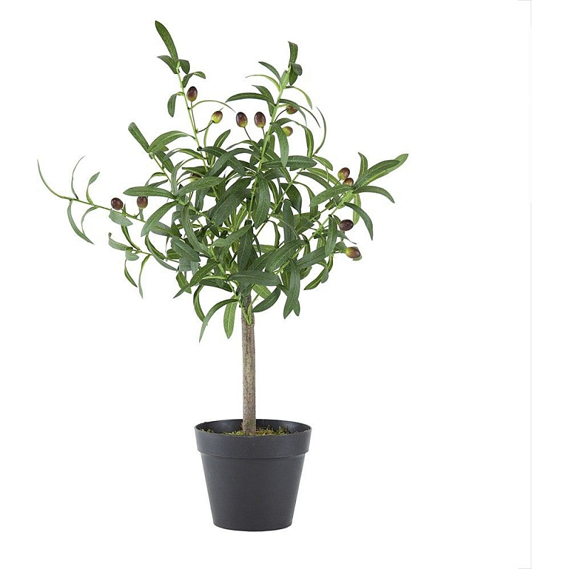 Декоративный искусственное растение Olive tree with fruits Зеленый Черный Коричневый Декоративный искусственное растение Olive tree with fruits Зеленый Черный Коричневый в Саратове | Loft Concept
