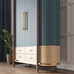 Шкаф «Гавайи» варинант исполнения - 2 | Loft Concept в Саратове