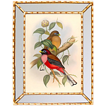 Постер с изображением птиц и цветов в зеркальной раме Blooming Birds Poster варинант исполнения - 7 | Loft Concept в Саратове