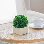 Декоративный искусственное растение Square boxwood варинант исполнения - 6 | Loft Concept в Саратове