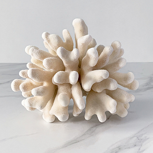 Статуэтка Elkhorn Coral