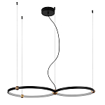 Люстра подвесная светодиодная черный металл Ring Horizontal варинант исполнения - 9 | Loft Concept в Саратове