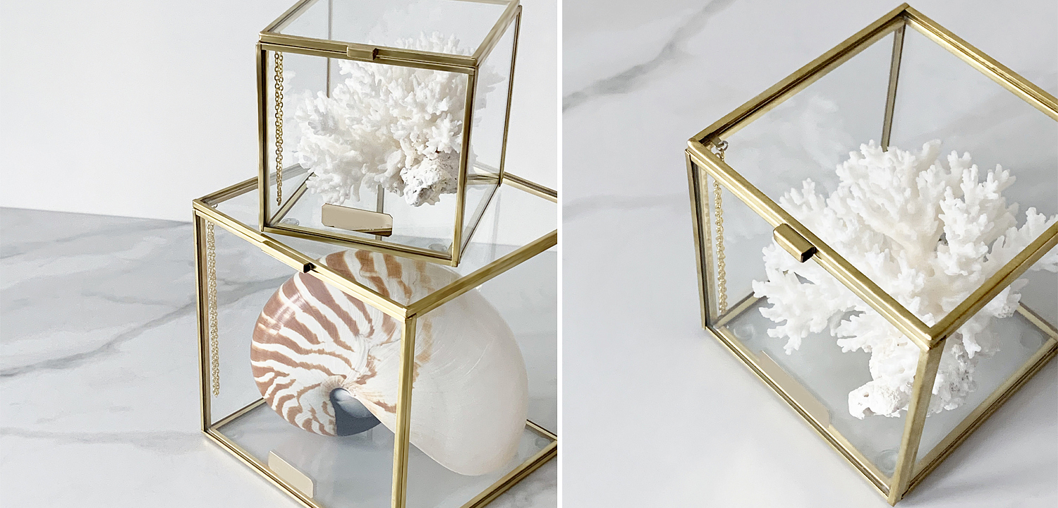 Статуэтка Natural Coral Glass Box S Статуэтка Natural Coral Glass Box S - Loft-Concept в Саратове